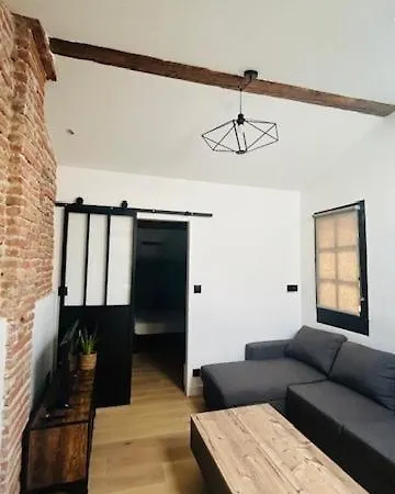 T2 De Charme, Au Coeur De Avec Climatisation Apartment Toulouse